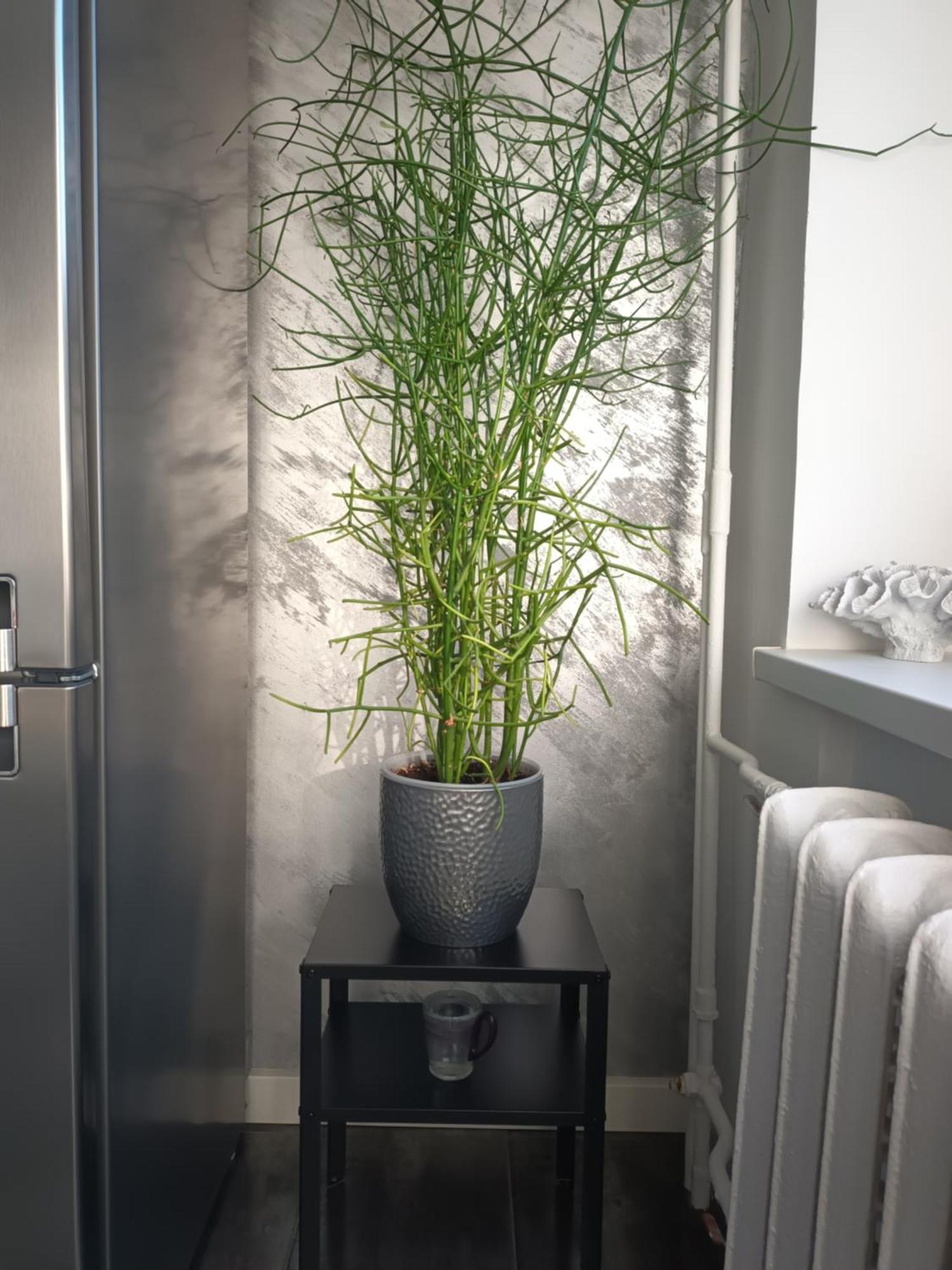 Apartment Таллінн Екстер'єр фото